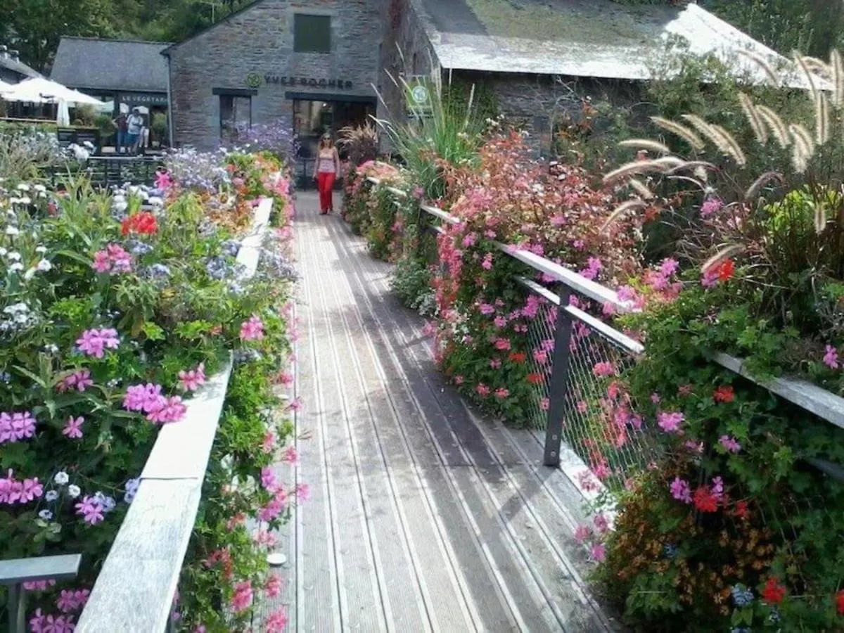 Homestay Sejour Entre Nature Verdoyante Et Son Dolment Cournon France
